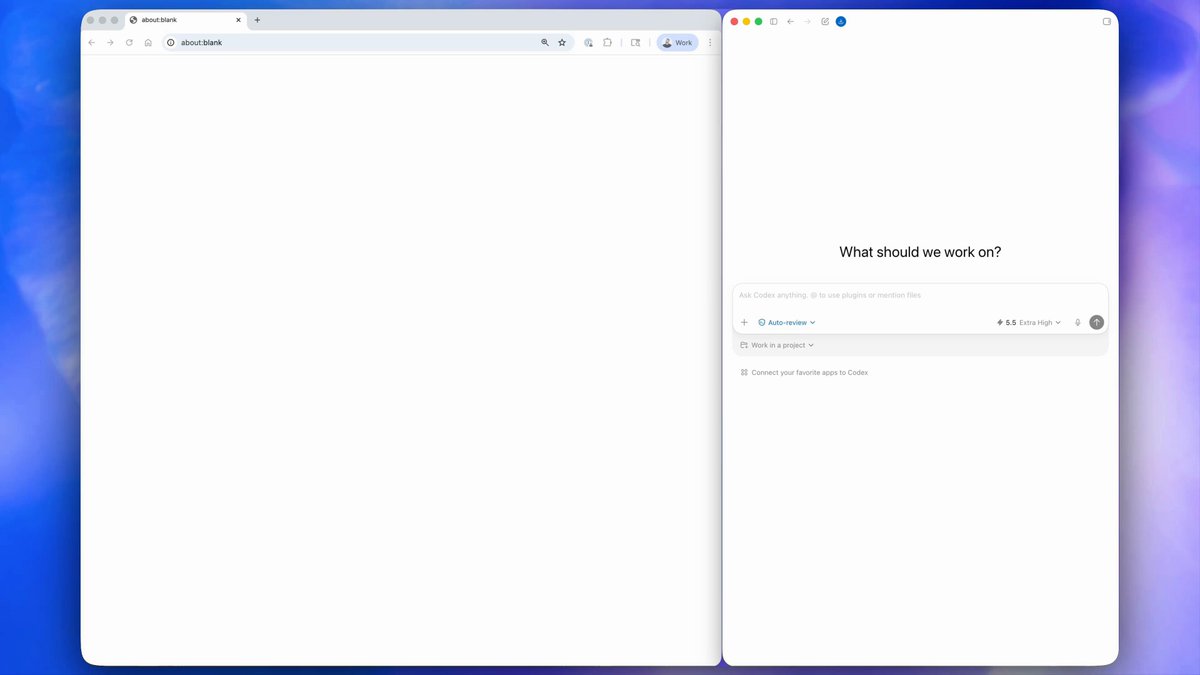 Codex Chrome 확장 — 좌측 about:blank 탭 + 우측 사이드바 "What should we work on?" 프롬프트