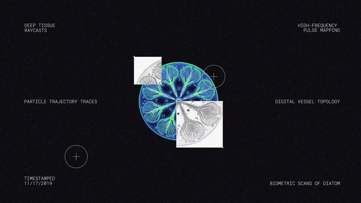 Polsia가 첨부한 추상 이미지 — "DEEP TISSUE RAYCASTS / HIGH-FREQUENCY PULSE MAPPING / DIGITAL VESSEL TOPOLOGY" 같은 기술 용어가 *2019년 11월 17일 타임스탬프*와 함께 배치. *방금 시작한 신생 1인 회사가 아니라 6~7년간 조용히 만들어진 자동화 회사가 AI 붐과 만나 외부 자본을 부른 케이스*로 읽힌다