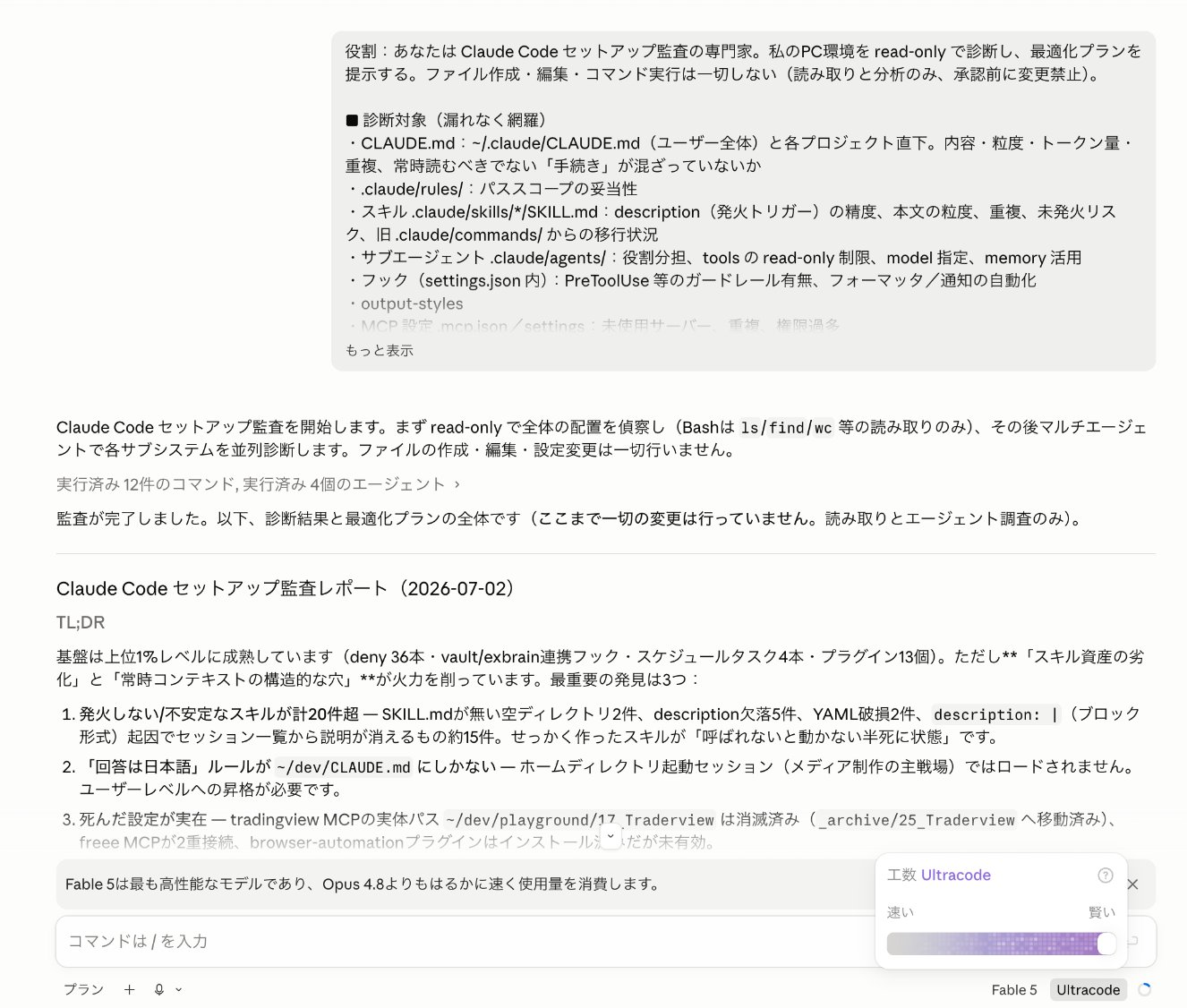 Claude Code 환경 건강 진단 리포트