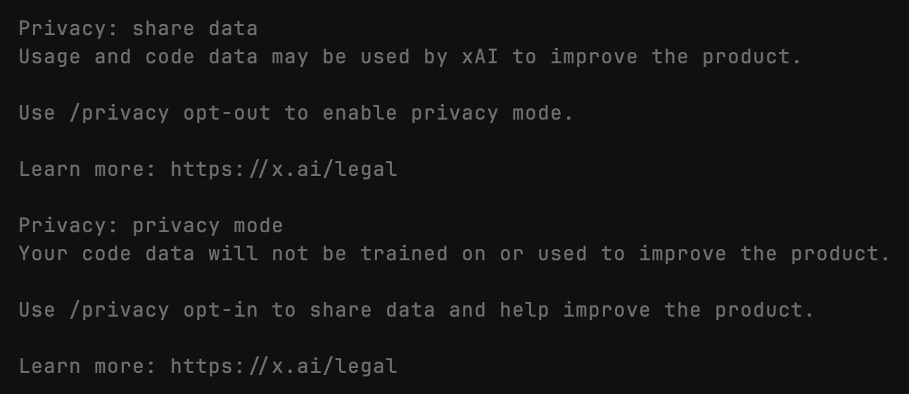Grok Build의 /privacy 설정 화면