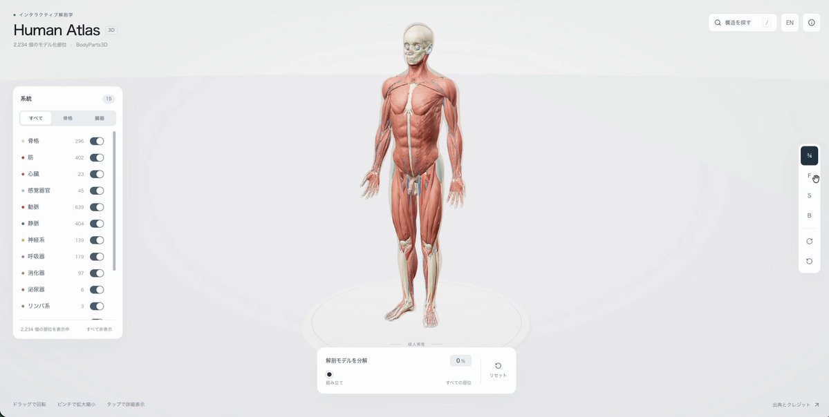 브라우저에서 실행되는 3D 인체도