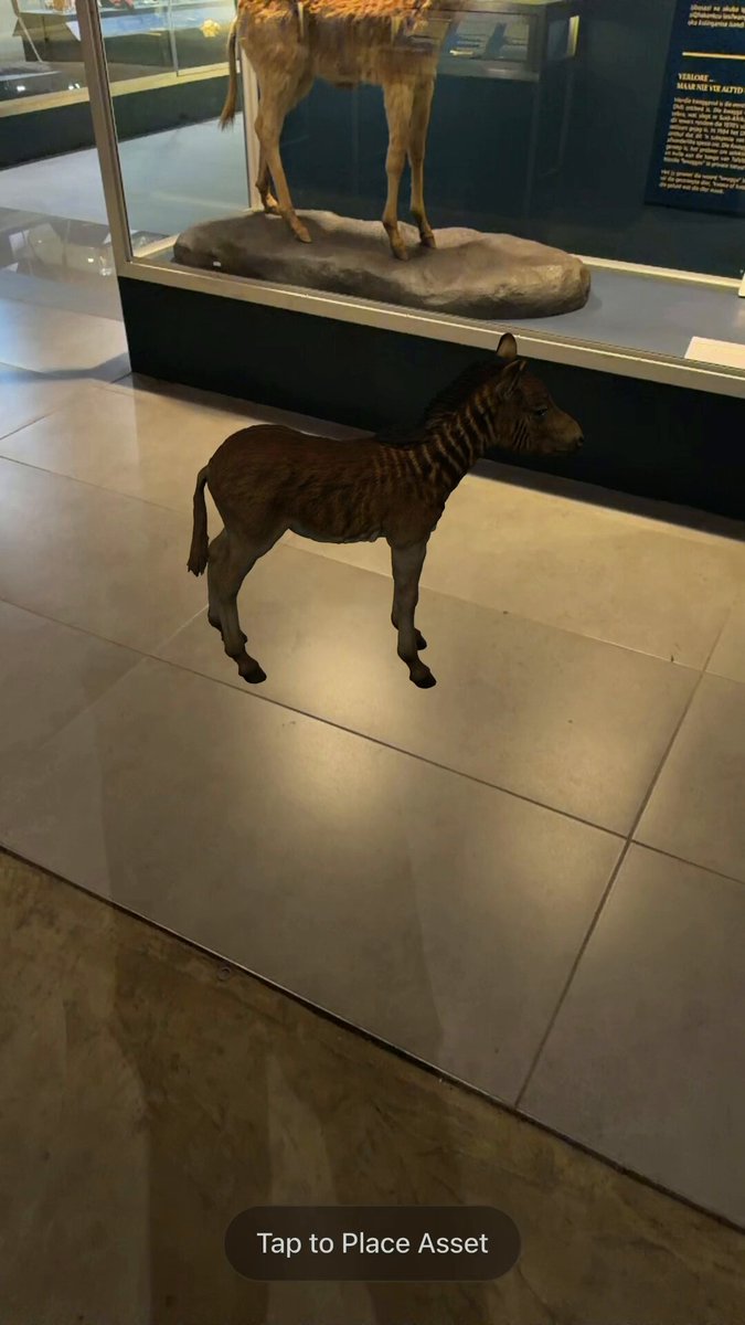 박물관 바닥에 세운 3D 콰가